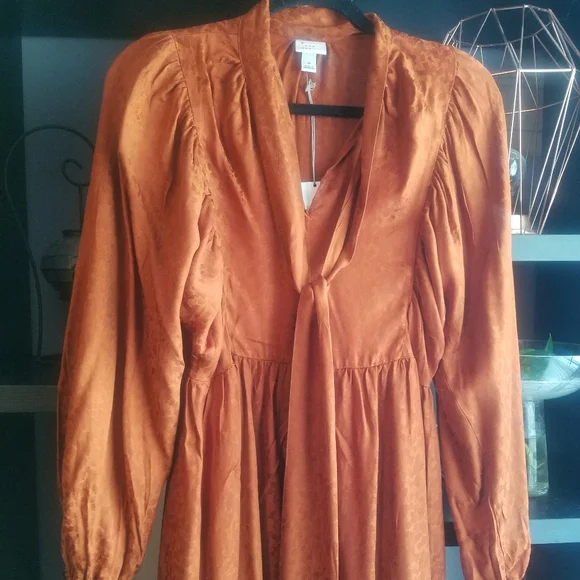 NWT A New Day rust babydoll dress - Picture 6 of 8